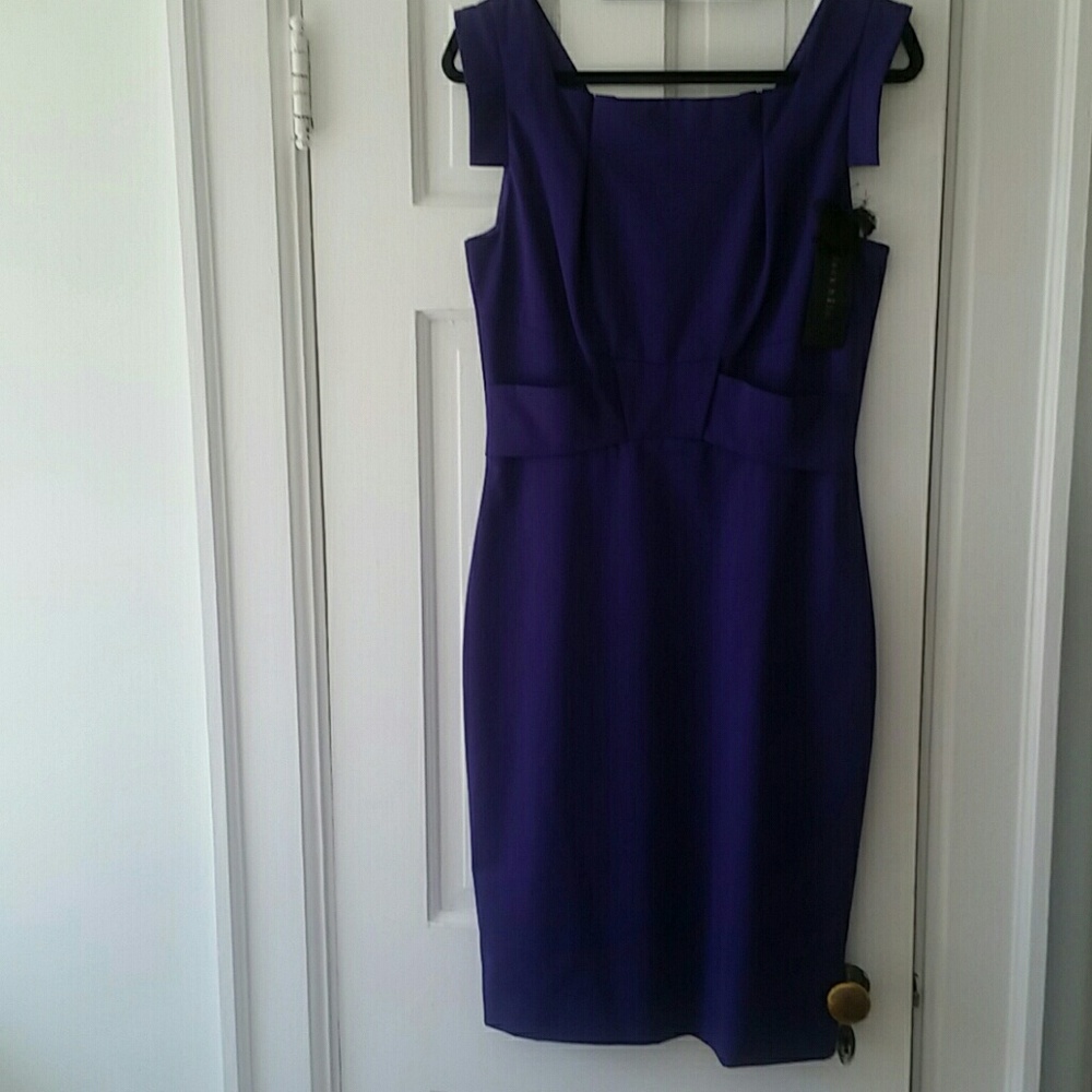 Royal purple Black Halo